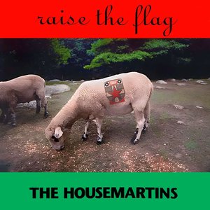 Raise The Flag