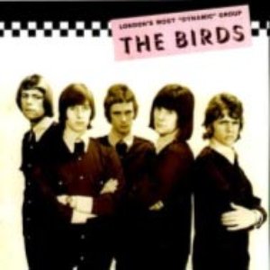 Birds のアバター