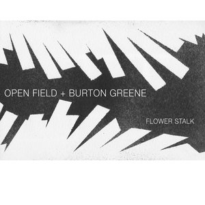 Аватар для Open Field + Burton Greene