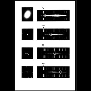 Trauma Demolitional