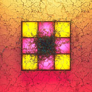Aorta - Single