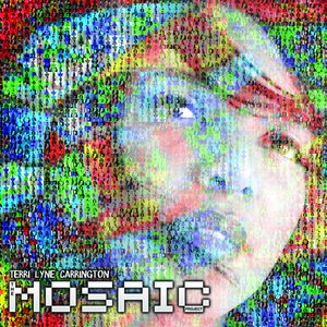 Image for 'The Mosaic Project'