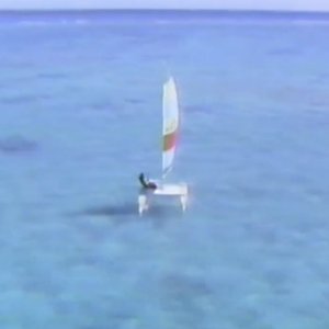 逃れられない