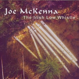 The Irish Low Whistle