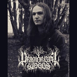 Primordial Woods 的头像