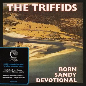 Born Sandy Devotional (New Re-issue)