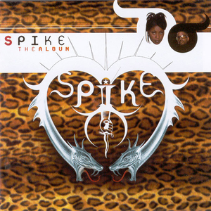 The Album cover