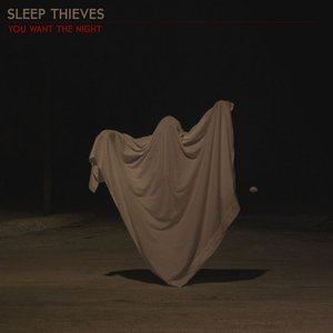 You Want the Night - Single