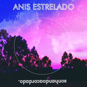 Sonhandoacordado