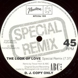 The Look of Love (Special Remix)