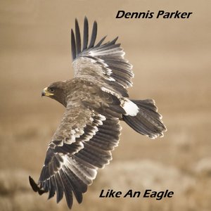 Like An Eagle - Single