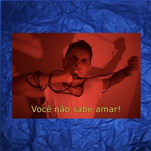Você Não Sabe Amar