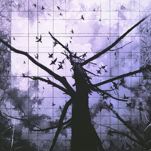 Перья птиц пронзают провода