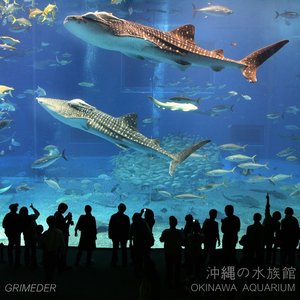 GRIMEDER 的头像