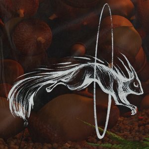 Squirrely Bass 的头像