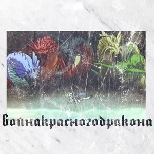 “война красного дракона”的封面