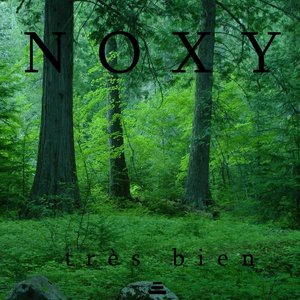 Noxy 的头像