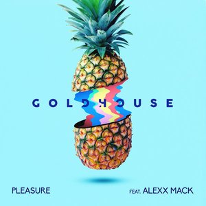 Pleasure (feat. Alexx Mack)