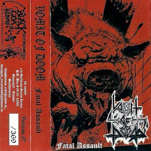 Fatal Assault