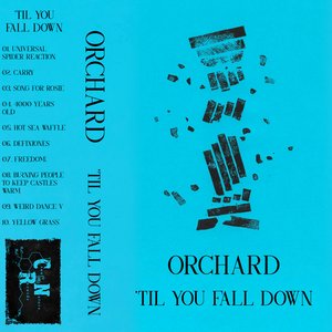 'Til You Fall Down