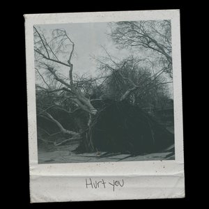 Hurt You - Single