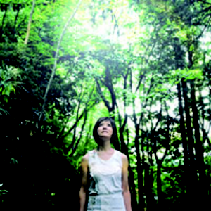 bird alone cover