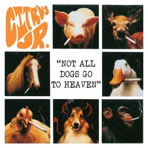 Not all dogs go to Heaven