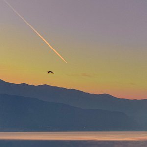 Your Call - Single