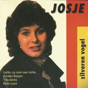 Zilveren vogel