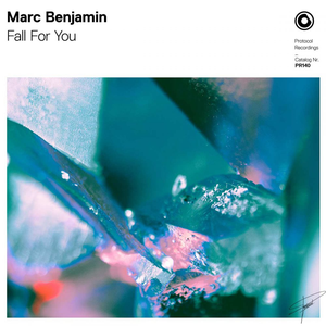 Marc Benjamin - Fall For You - Zortam Music