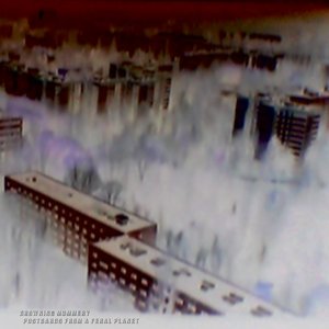 Postcards From A Feral Planet
