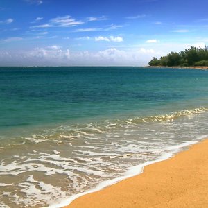 Tranquil Cove 的头像