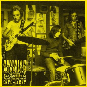 Swedish Meatballs The Hard Rock Psych Underground 1971 - 1977