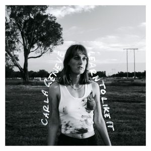 Dog Eared - Single