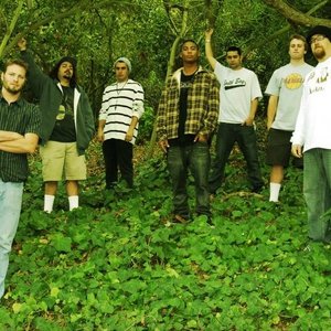 Fortunate Youth Profile Picture