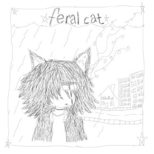 feral cat shelter