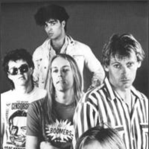 The Celibate Rifles photo provided by Last.fm