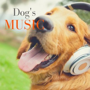 Dog’s Music – Soothing Instrumental with Nature Sounds for Relaxation, Anti Stress