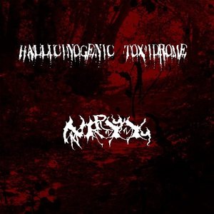 Hallucinogenic Toxidrome 的头像