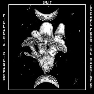 Flight (Into the Universe)