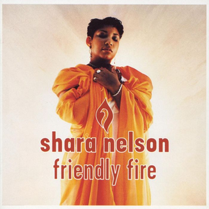 Shara Nelson - Friendly Fire - Zortam Music