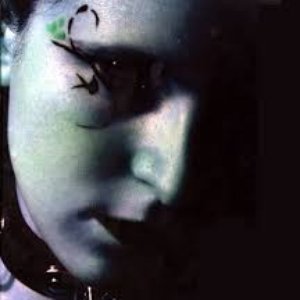 Shadowblack