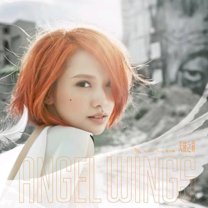 天使之翼 cover