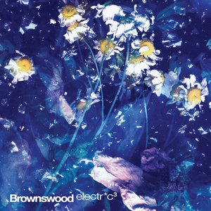 Brownswood Electr*c 3