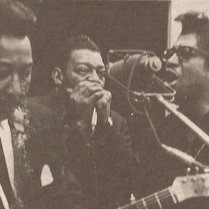 bo diddley & muddy waters & little walter 的头像