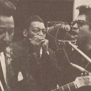 Avatar for bo diddley & muddy waters & little walter