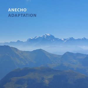 Adaptation