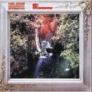 Paul Chain Experimental Information / Fucktotum