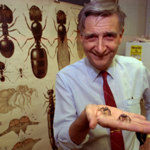 Avatar de Edward O. Wilson