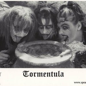 Tormentula 的头像
